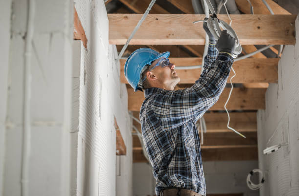 Best Electrical Upgrades for Homes  in Harrison, MI