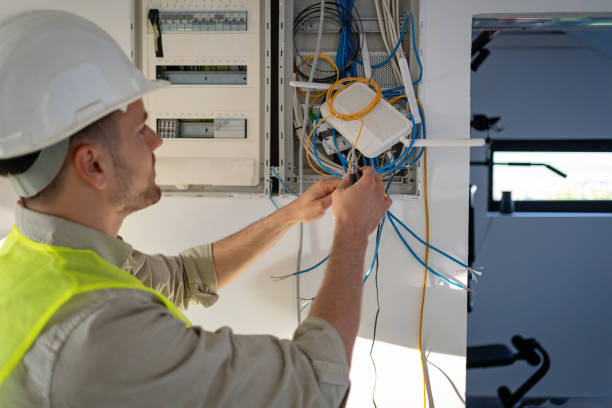 Best Outdoor Lighting Installation  in Harrison, MI