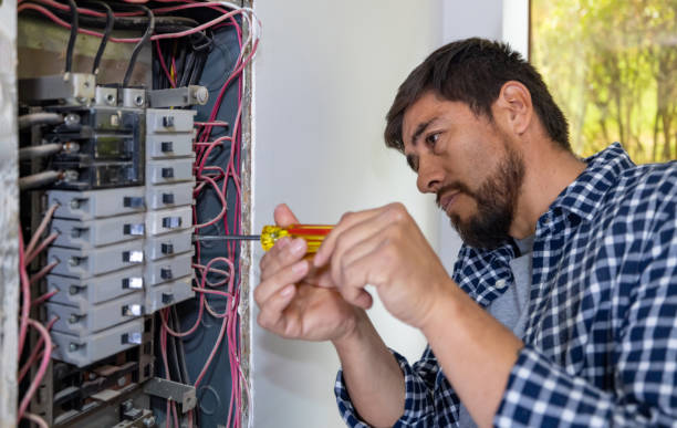 Best Ceiling Fan Installation Electrician  in Harrison, MI